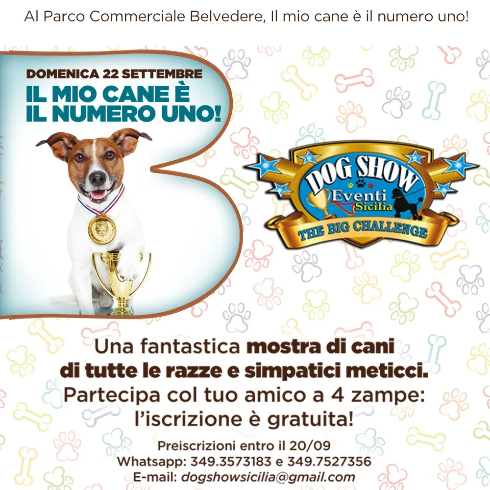 il-mio-cane-e-il-numero-uno